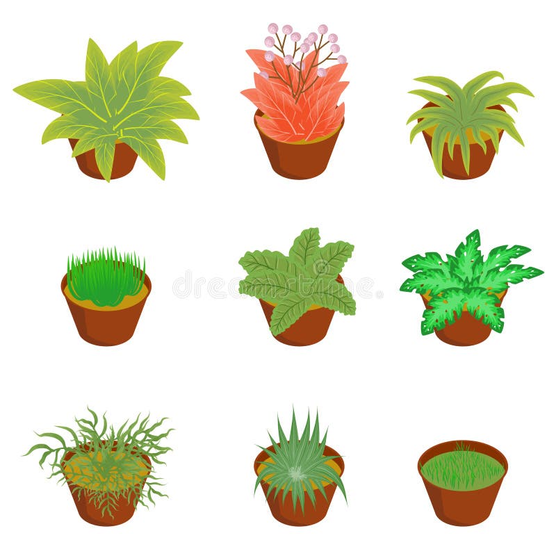 Isometric rośliny drzewo Bush ilustracja wektor Isometric rośliny drzewo Bush ilustracja wektor