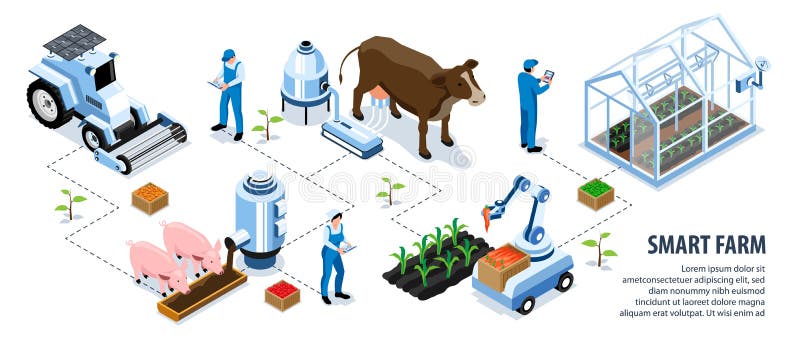 Isometric Smart Farm Infographic vector illustration