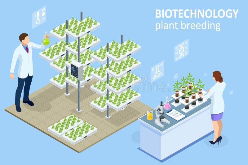 Isometric concept of laboratory exploring new methods of plant breeding and agricultural genetics. Vegetable hydroponic system, agriculture in the greenhouse organic for health food. Isometric concept of laboratory exploring new methods of plant breeding and agricultural genetics. Vegetable hydroponic system, agriculture in the greenhouse organic for health food.