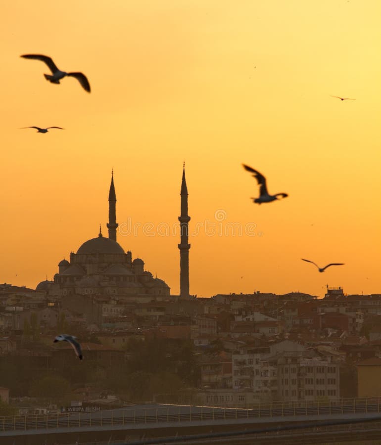 Istanbul, Moschee, Sonnenuntergang, Seemöwen stockfotos Istanbul, Moschee, Sonnenuntergang, Seemöwen stockfotos