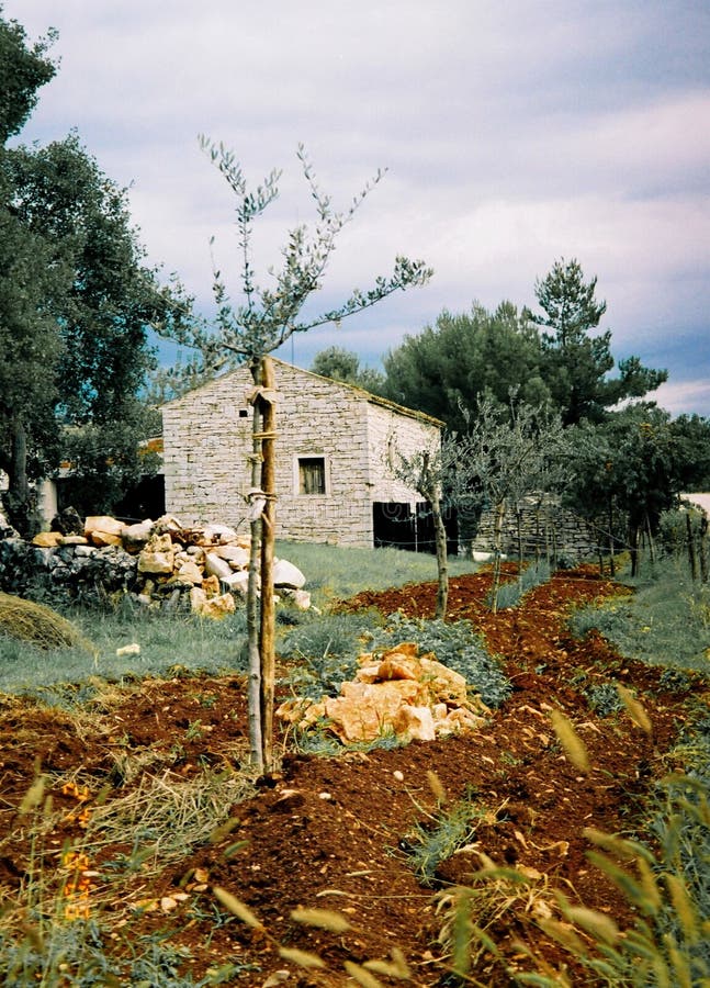 Istria landskap av Kroatien royaltyfri foto Istria landskap av Kroatien royaltyfri foto