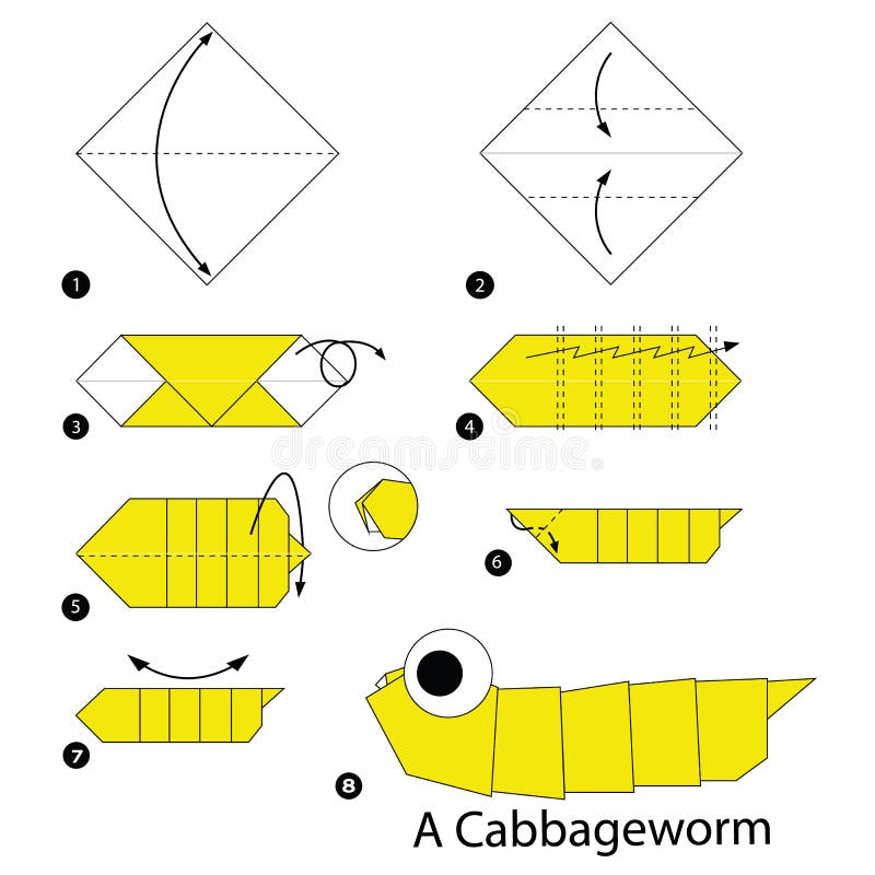 Istruzioni graduali come rendere ad origami un verme di cavolo illustrazione vettoriale Istruzioni graduali come rendere ad origami un verme di cavolo illustrazione vettoriale