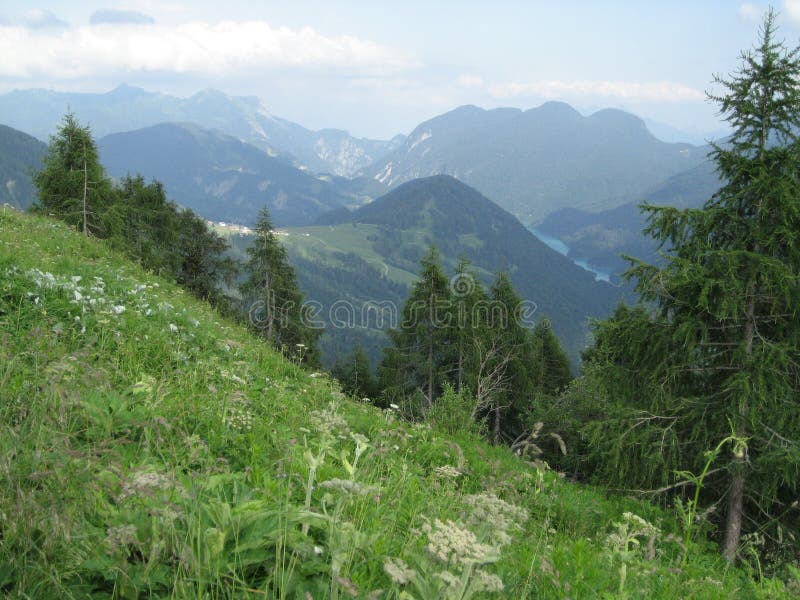 Italian Alp View