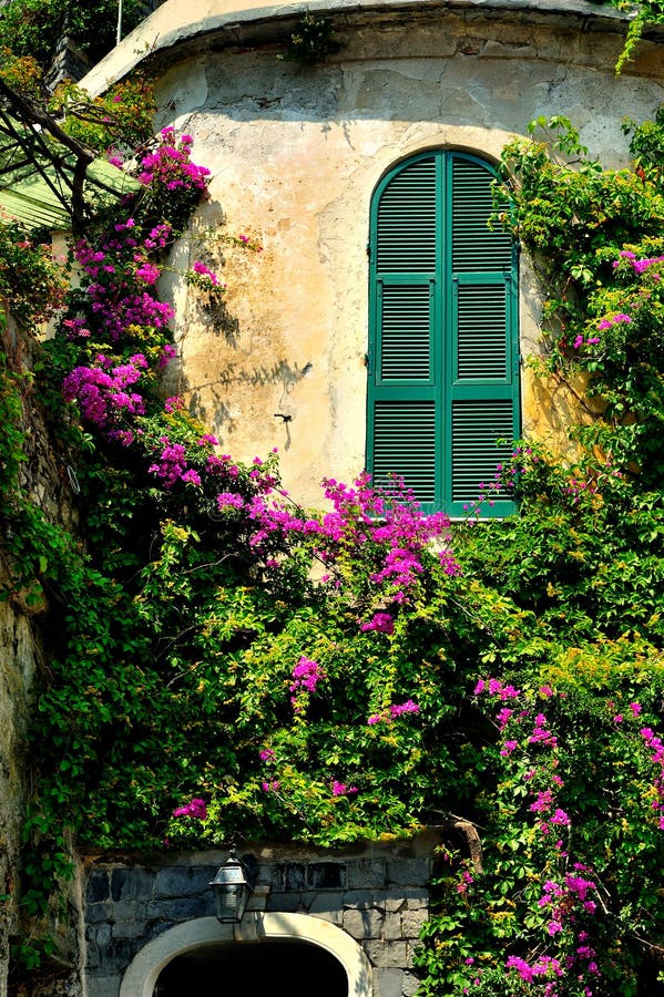Italian buildings with window shutters and pink bougainvilleas royalty free stock image Italian buildings with window shutters and pink bougainvilleas royalty free stock image