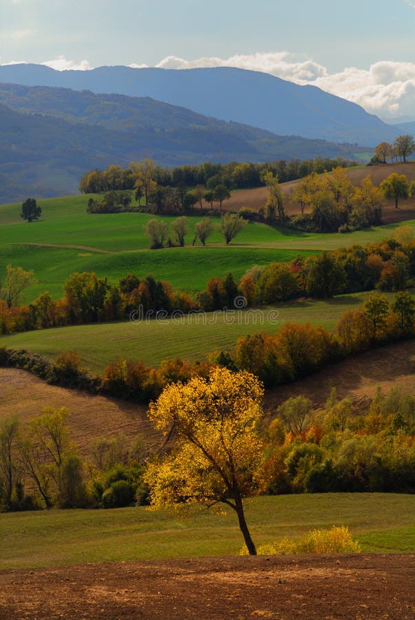 Hermoso italiano campo en región en otono.