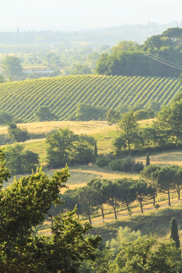 Italian countryside