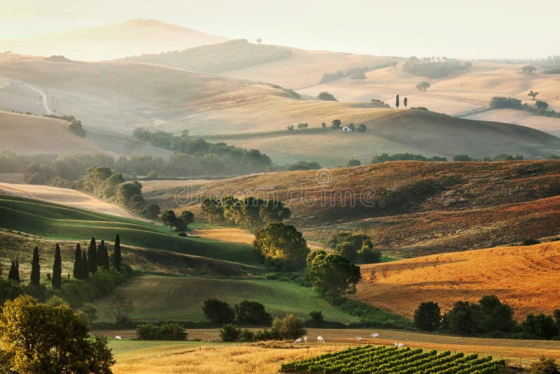 Italian countryside in Tuscany