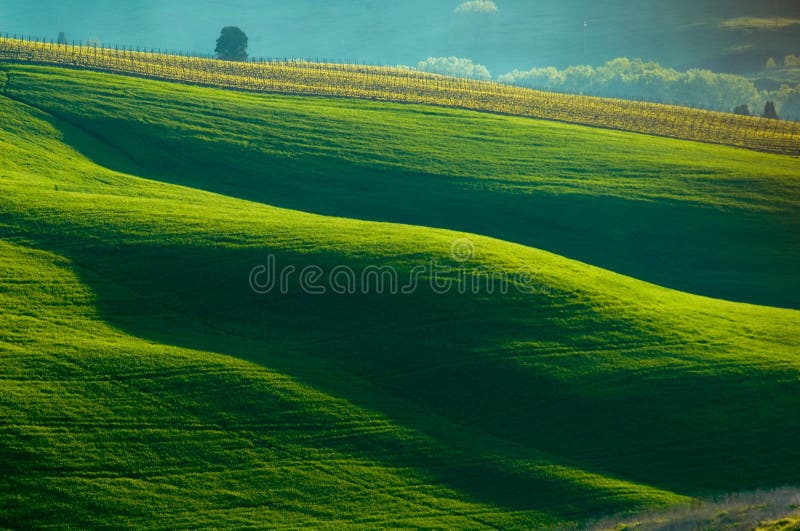 Italian fields