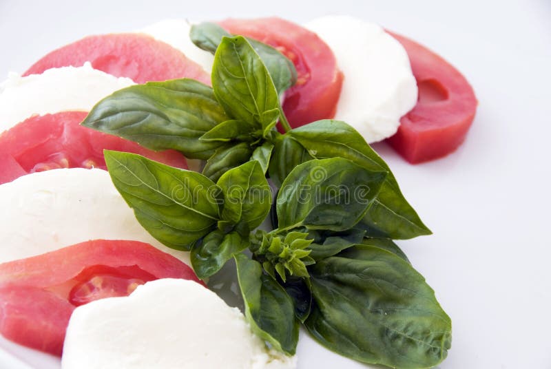 Italian food: caprese royalty free stock photos Italian food: caprese royalty free stock photos
