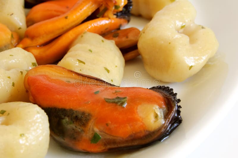 Italian Food Gnocchi with Mussels Stock Image Image of meal