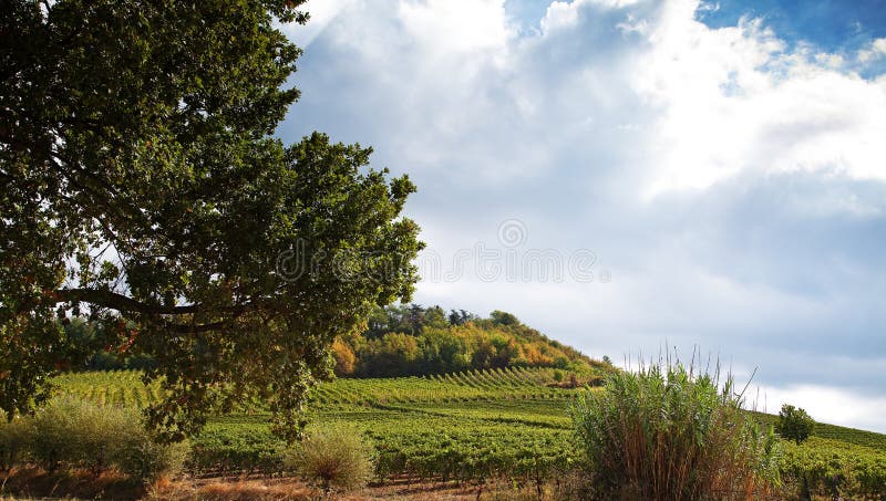 Italian landscape royalty free stock photo Italian landscape royalty free stock photo