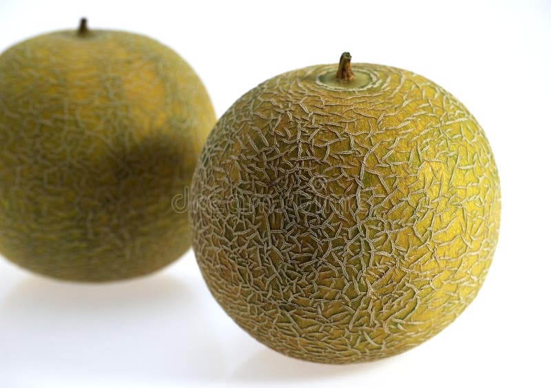 Italian Melon, Cucumis Melo, Fruit Against White Background Stock Photo