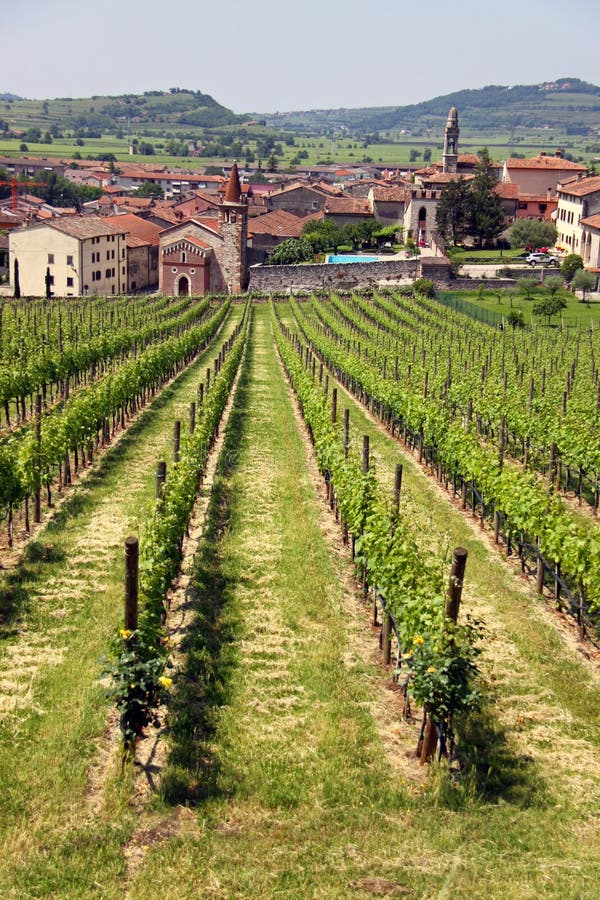 The Italian town of Soave