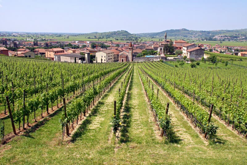 The Italian town of Soave