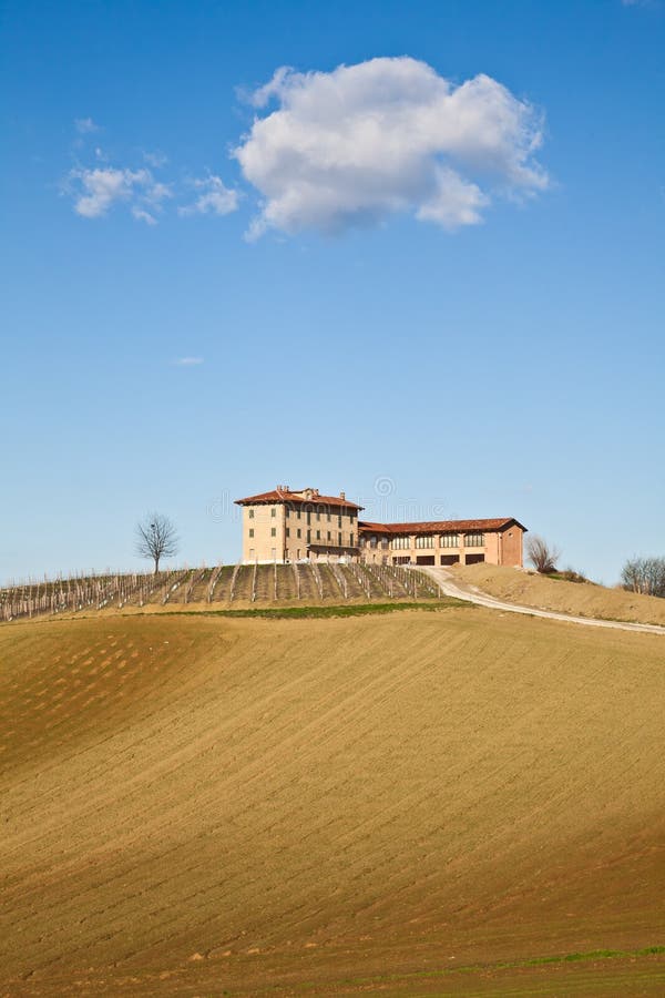 Italian villa with vineyard: spring season