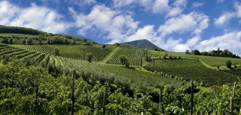 Ein schönes Weingut Winkel über die Hügel des nördlichen Italien.