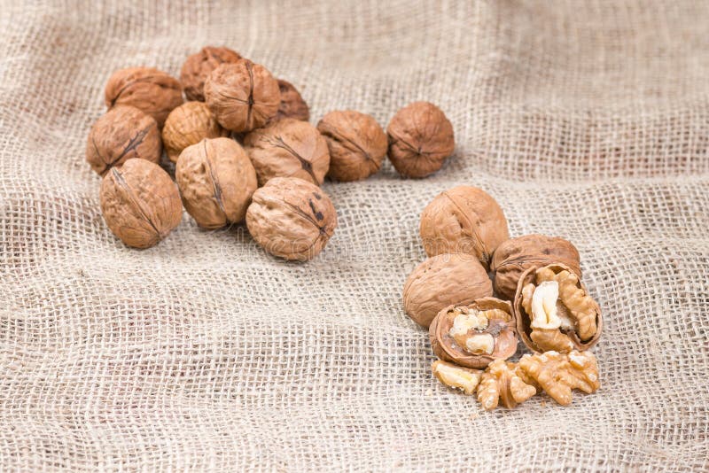 Italian Walnuts stock photo. Image of plank, brown, cracked 64838136