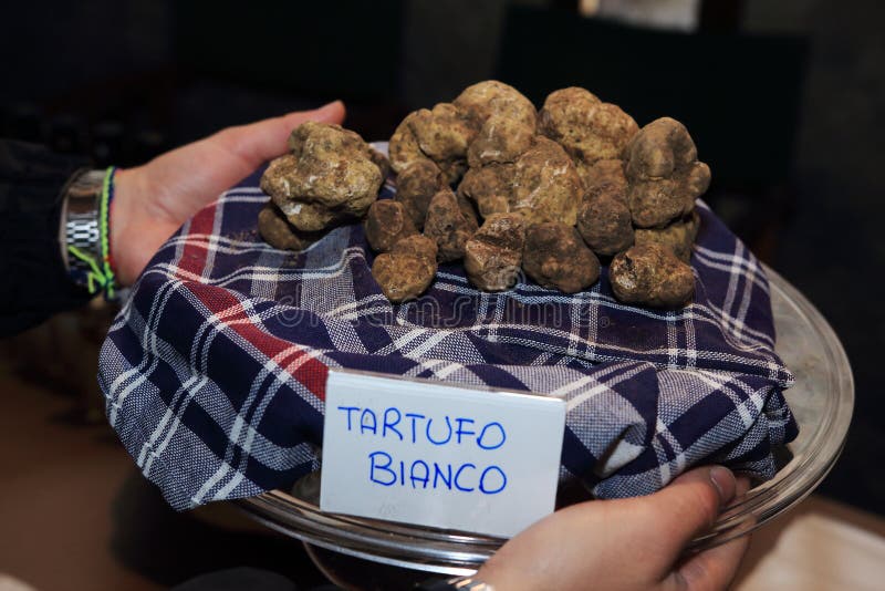 Italian white truffle stock image. Image of delicacy 46417315