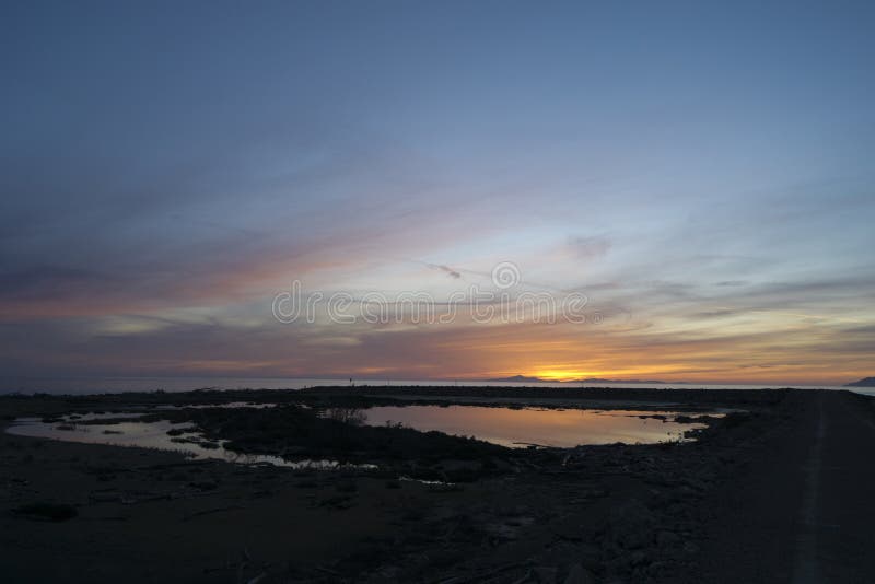 Italien Tuscany, Grosseto, Maremma, Marina di Alberese som är naturlig parkerar av Maremma royaltyfri foto Italien Tuscany, Grosseto, Maremma, Marina di Alberese som är naturlig parkerar av Maremma royaltyfri foto