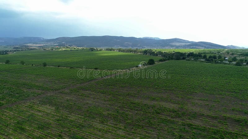 Italienische Landschaft schöne Bauernhöfe und Weinberge schöne Aussicht. Land Italien Bauern arbeiten Weinberge