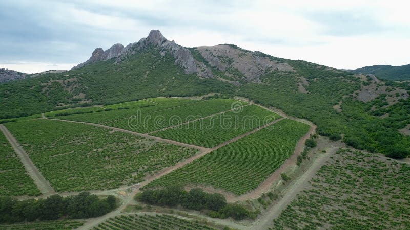 Italienische Landschaft Schöne Landschaften und Weinberge Schöne Sicht auf die Luft Landschaft Italien, Landwirtschafts-Weinberge