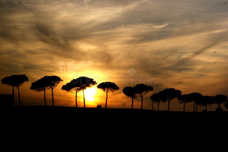 italiensk silhouettesolnedgång royaltyfri bild italiensk silhouettesolnedgång royaltyfri bild