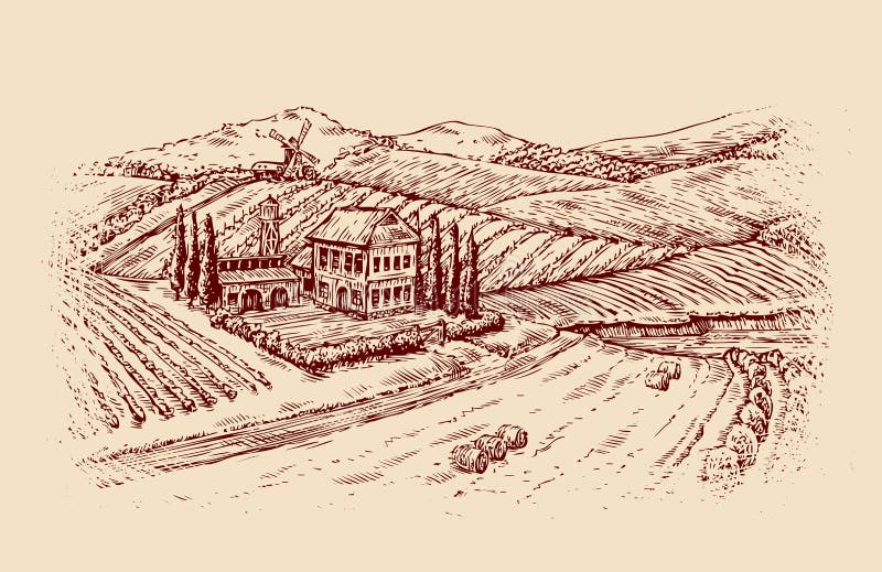 Italy Paisagem italiana Vinhedo desenhado à mão do vintage do esboço, exploração agrícola Ilustração do vetor ilustração royalty free Italy Paisagem italiana Vinhedo desenhado à mão do vintage do esboço, exploração agrícola Ilustração do vetor ilustração royalty free