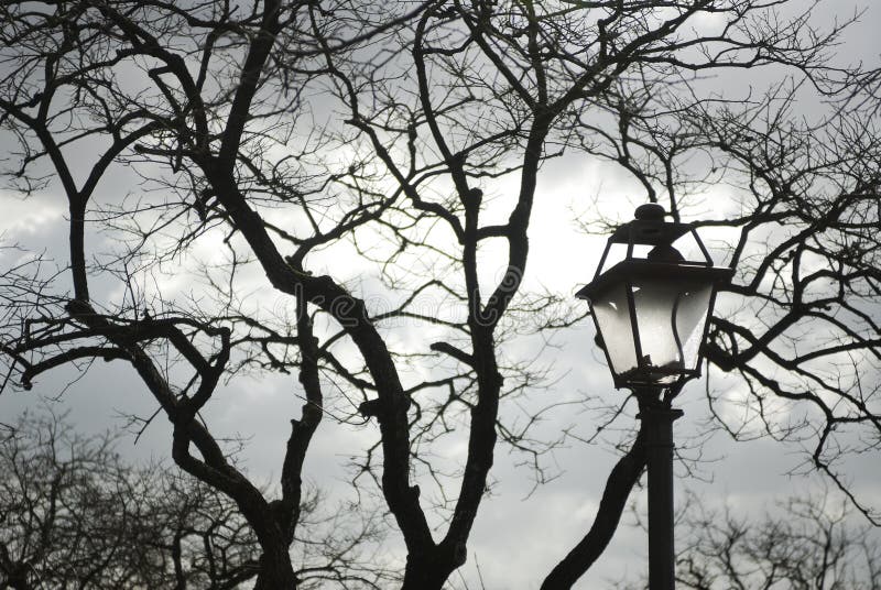 Italy. Rome. Black naked tree and the lamp stock photography