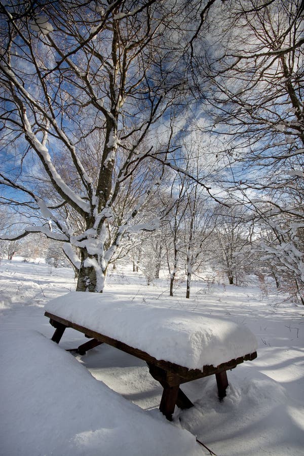 Italy, Tuscany, National Park of the Casentino Forests stock photo Italy, Tuscany, National Park of the Casentino Forests stock photo