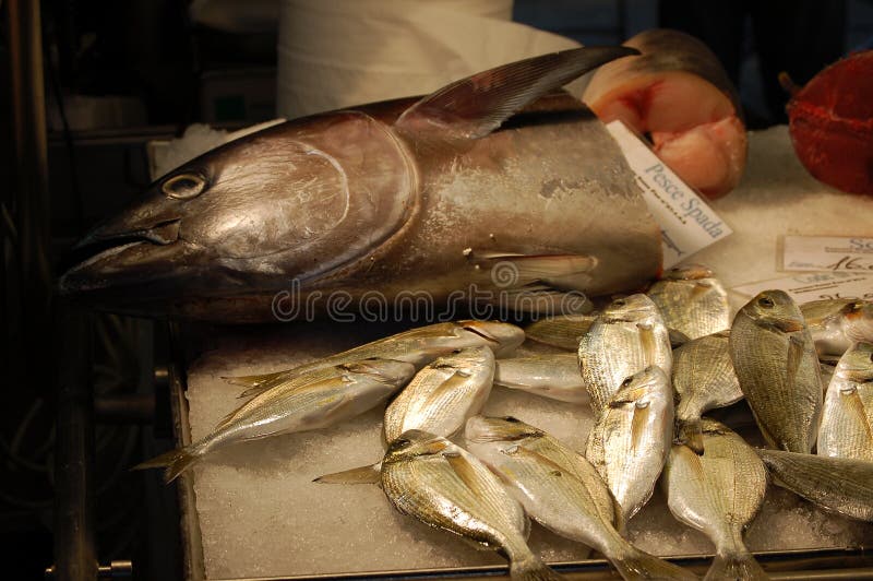 Italy Venice Fish Market