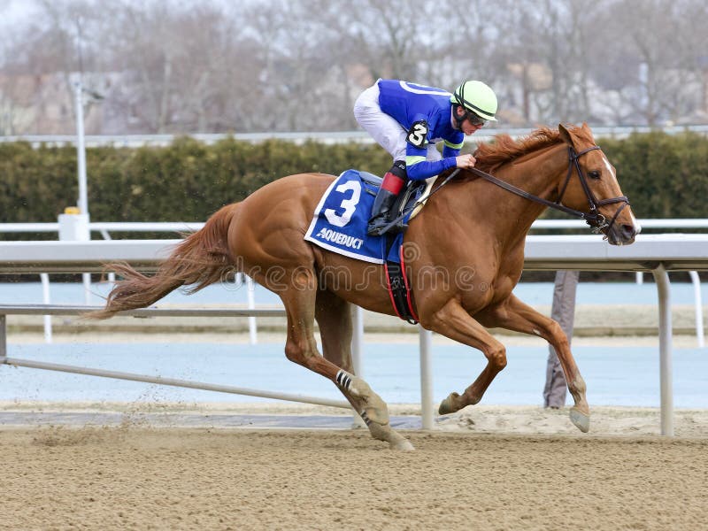 Its All Relevant with Dylan Davis Editorial Photography Image of