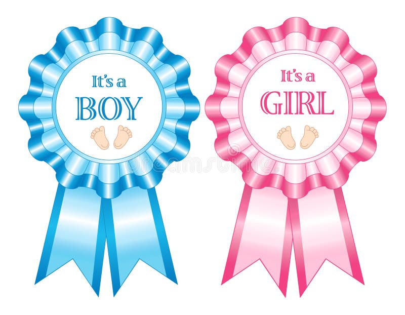 Its a boy and girl rosettes royalty free illustration.