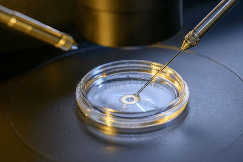 IVF-laboratoriummikroskop royaltyfri bild