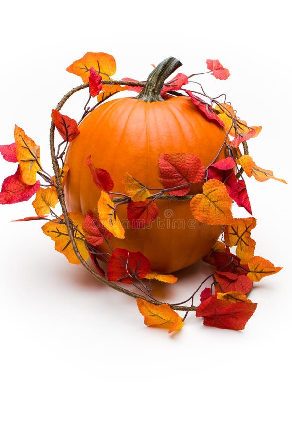 Ivy covered pumpkin stock image. Image of colorful, season - 16420045