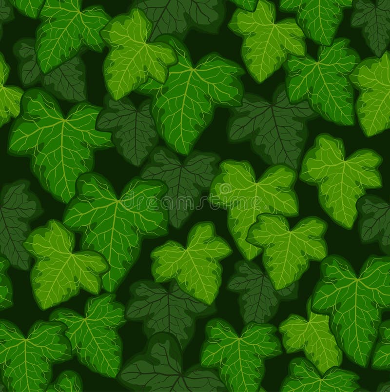 Ivy Leaves