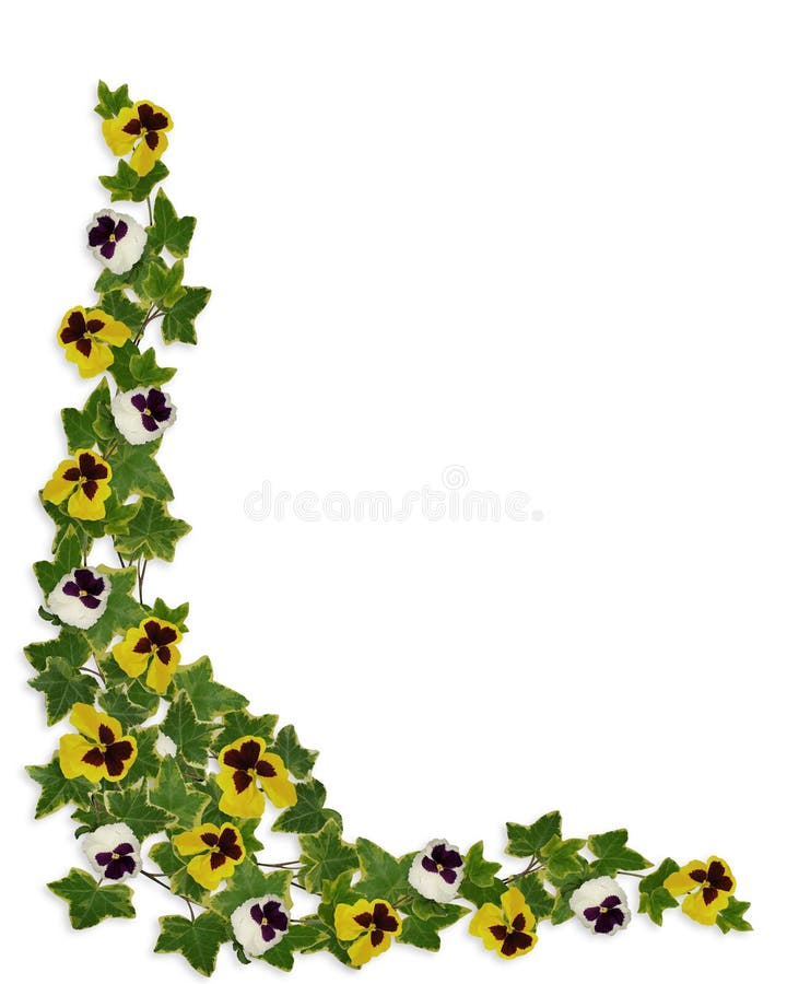 Ivy and Pansies Floral Border Stock Illustration Illustration of