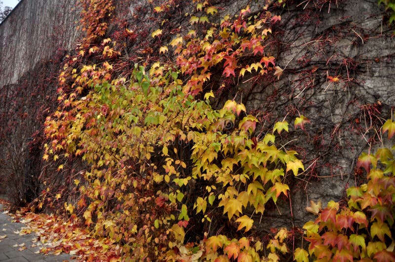 fall fall fall fall into the walls fall fall fall fall into the walls