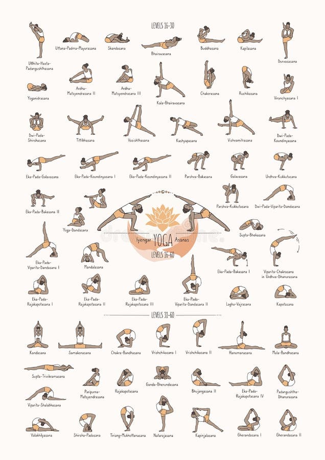 Poses Of Yoga With Names | International Society of Precision Agriculture