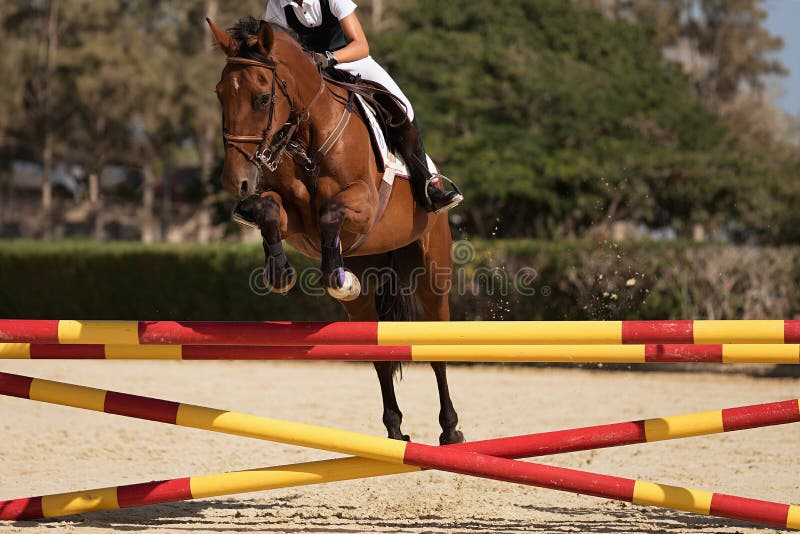 Jockey Com Seu Cavalo Pulando Sobre Um Obstáculo Pulando Sobre O