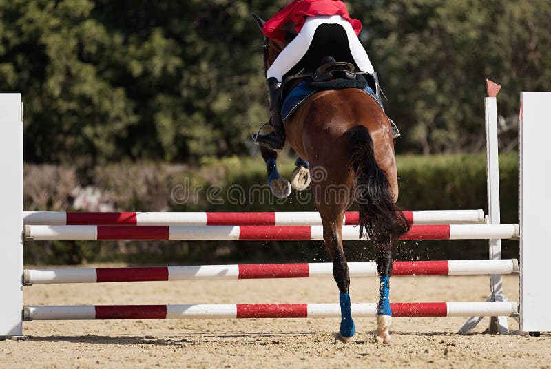 Jockey Com Seu Cavalo Pulando Sobre Um Obstáculo Imagem de Stock