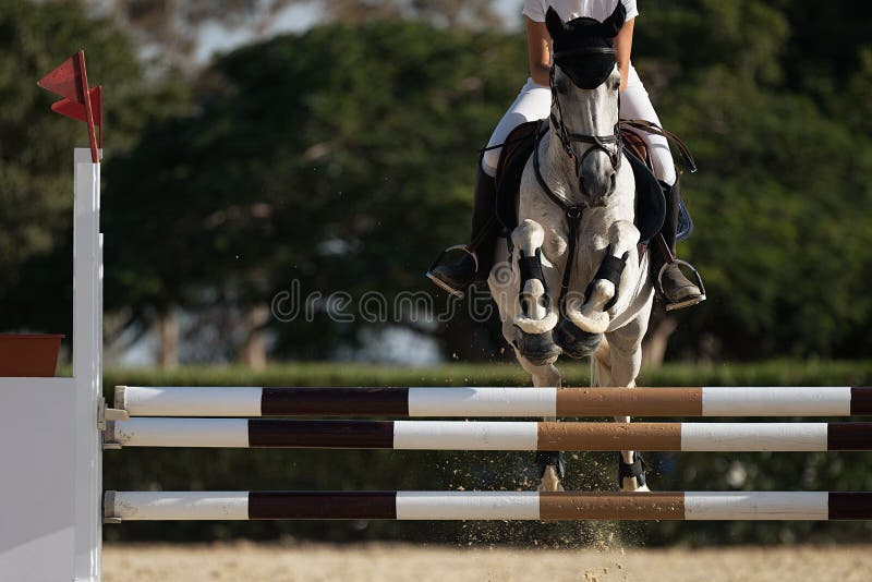 Jockey Com Seu Cavalo Pulando Sobre Um Obstáculo Pulando Sobre O