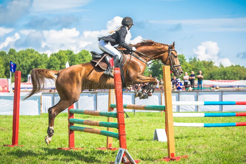 Jóquei Em Seu Cavalo Que Pula Sobre Um Obstáculo Foto de Stock