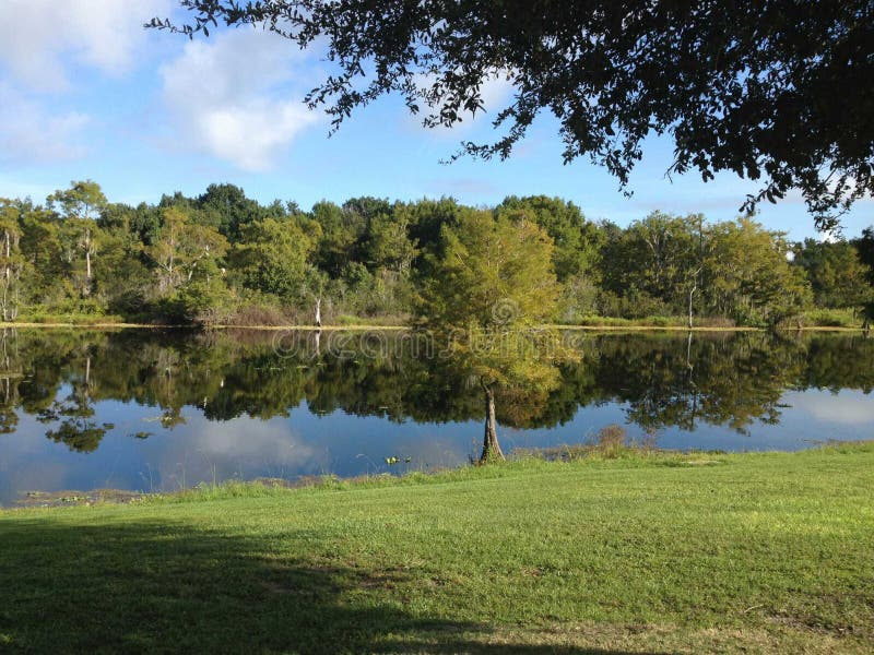 J Blanchard Park Em Orlando Imagem de Stock Imagem de borra, orlando