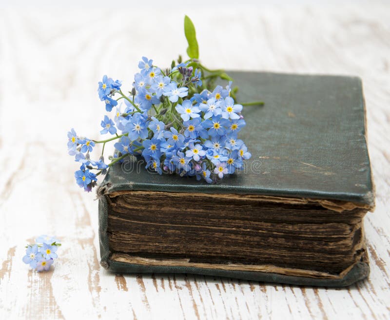 Bunch of forget-me-nots flowers and very old book. Bunch of forget-me-nots flowers and very old book