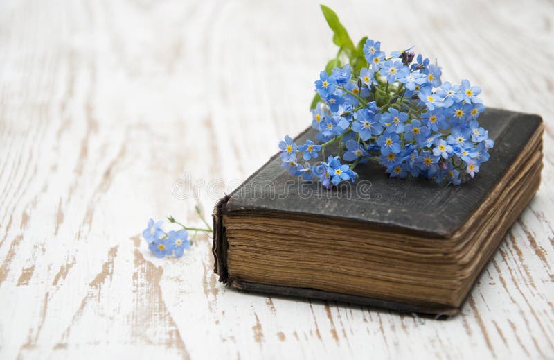 Bunch of forget-me-nots flowers and very old book. Bunch of forget-me-nots flowers and very old book