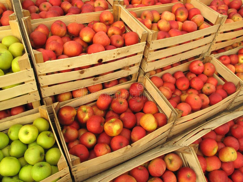 The apple is the pomaceous fruit of the apple tree, species Malus domestica in the rose family Rosaceae. It is one of the most widely cultivated tree fruits. Here are apples on market, in selling wooden crates. The apple is the pomaceous fruit of the apple tree, species Malus domestica in the rose family Rosaceae. It is one of the most widely cultivated tree fruits. Here are apples on market, in selling wooden crates.