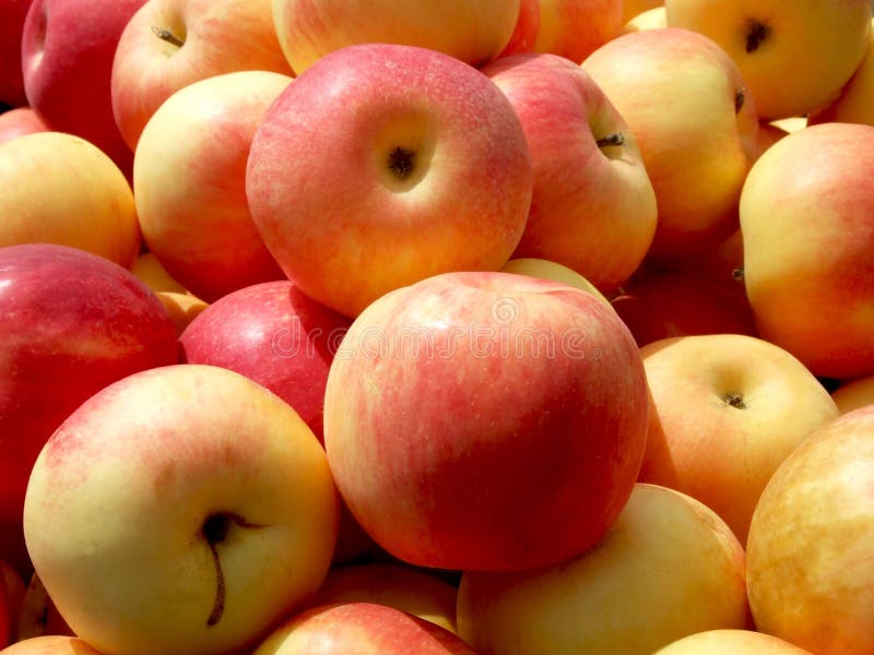 A bunch of red apples exposed on market. A bunch of red apples exposed on market