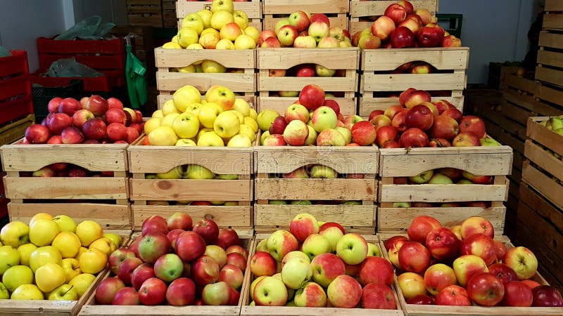 Apples in wooden boxes, fresh organic market. Apples in wooden boxes, fresh organic market