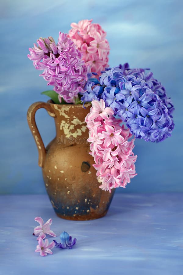 Jacintos hermosos en un florero imágenes de archivo libres de regalías