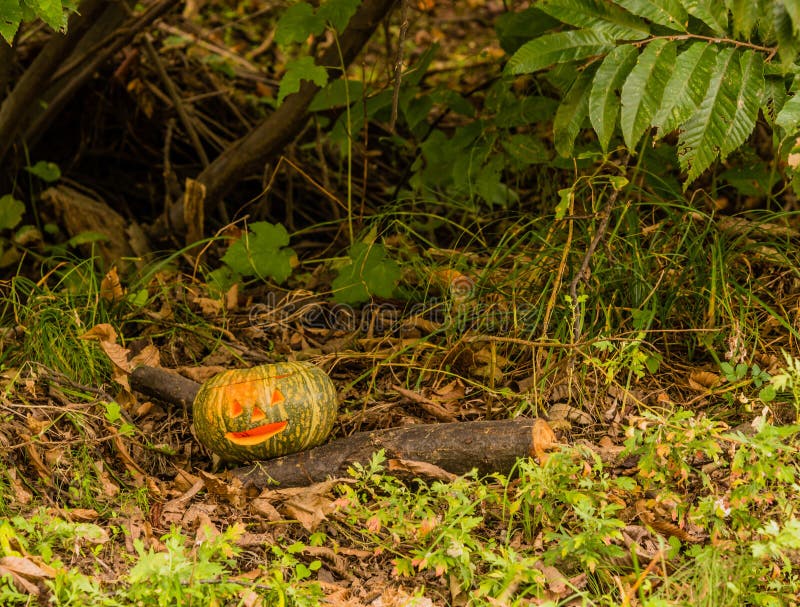 Jack-O-Laterne unter einem kleinen Baum stockfotos Jack-O-Laterne unter einem kleinen Baum stockfotos